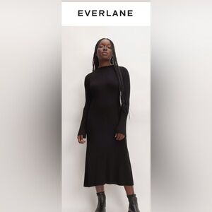NWT- Everlane Mock Neck Mini Dress